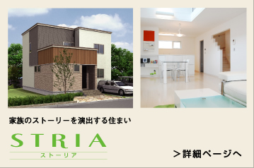 家族のストーリーを演出する住まいSTRIA(ストーリア)