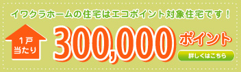 住宅版エコポイント制度について