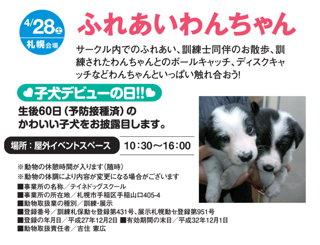 札幌市 恵庭市 ｇｗイベント モデルハウス公開情報 新着情報 イワクラホーム住宅事業部